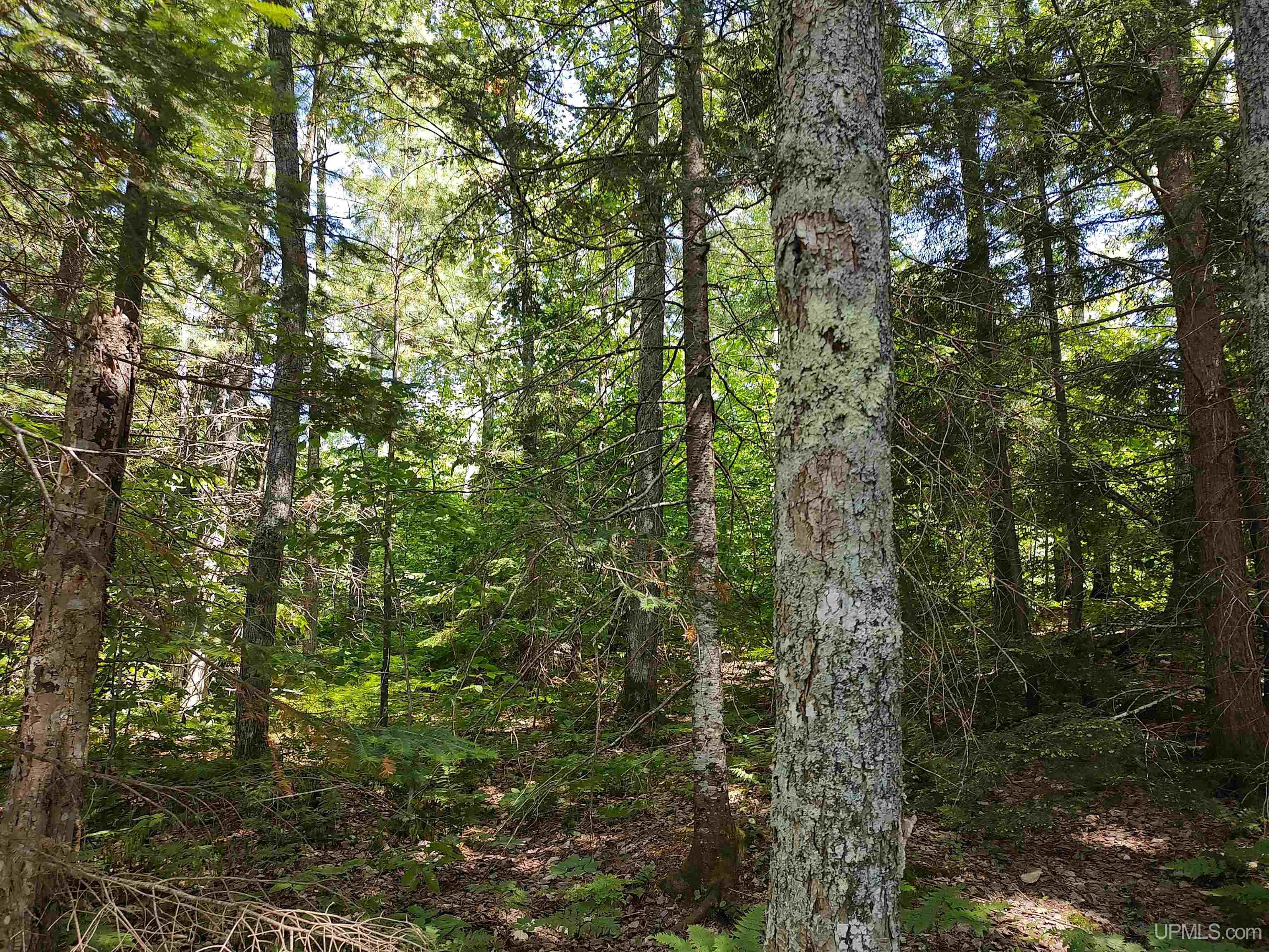 16 Mile Lake Road Munising, MI 49862 - Photo 12 of 12 Gallery Image 12