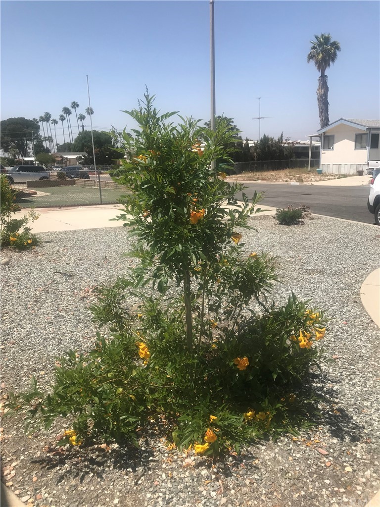 44717 Woodrow Way Hemet, CA 92544 - Photo 15 of 15