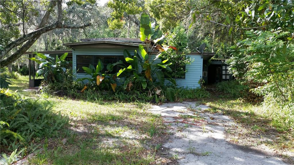 11325 Marquerite Avenue New Port Richey, FL 34654 - Photo 1 of 1 Gallery Image 1