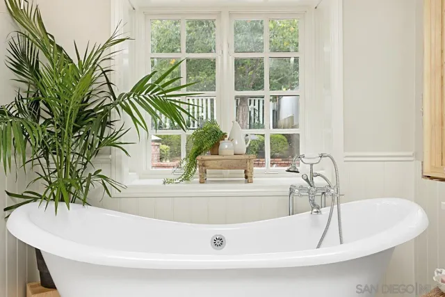 a close view of sink with a potted plant and a window