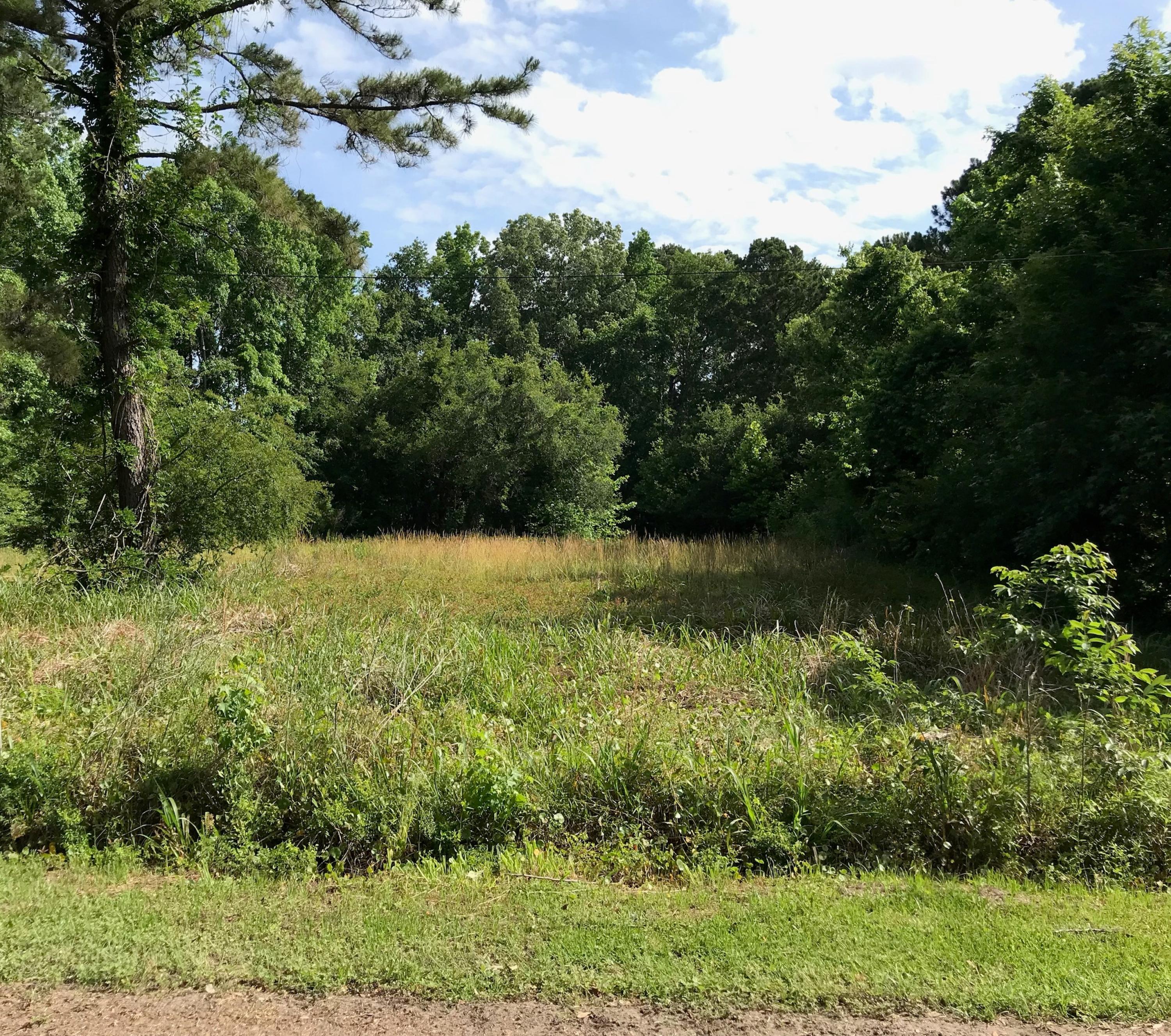 3520 Kitford Road Johns Island, SC 29455 - Photo 3 of 3 Kitford lot photo