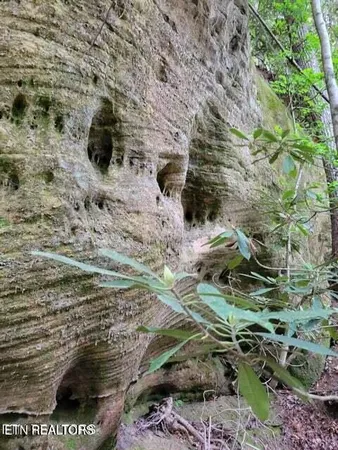 $300,000 | 107 Walking Horse Drive, Jamestown, TN 38556