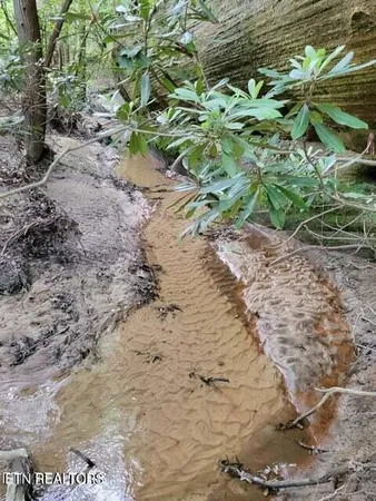 $300,000 | 107 Walking Horse Drive, Jamestown, TN 38556