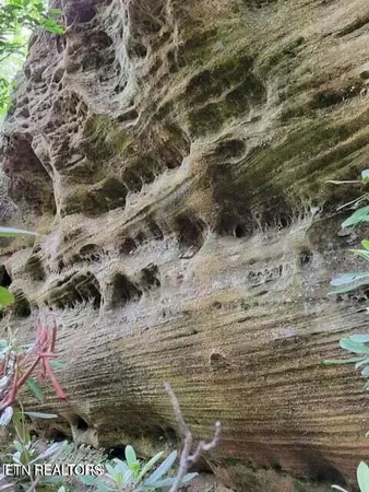 $300,000 | 107 Walking Horse Drive, Jamestown, TN 38556