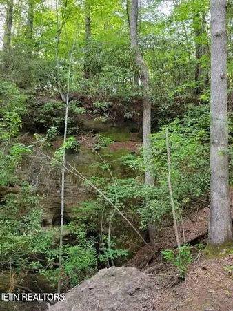 $300,000 | 107 Walking Horse Drive, Jamestown, TN 38556