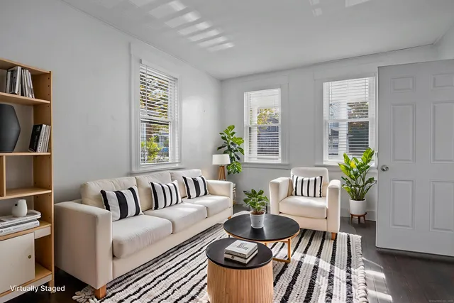 a living room with furniture and a potted plant