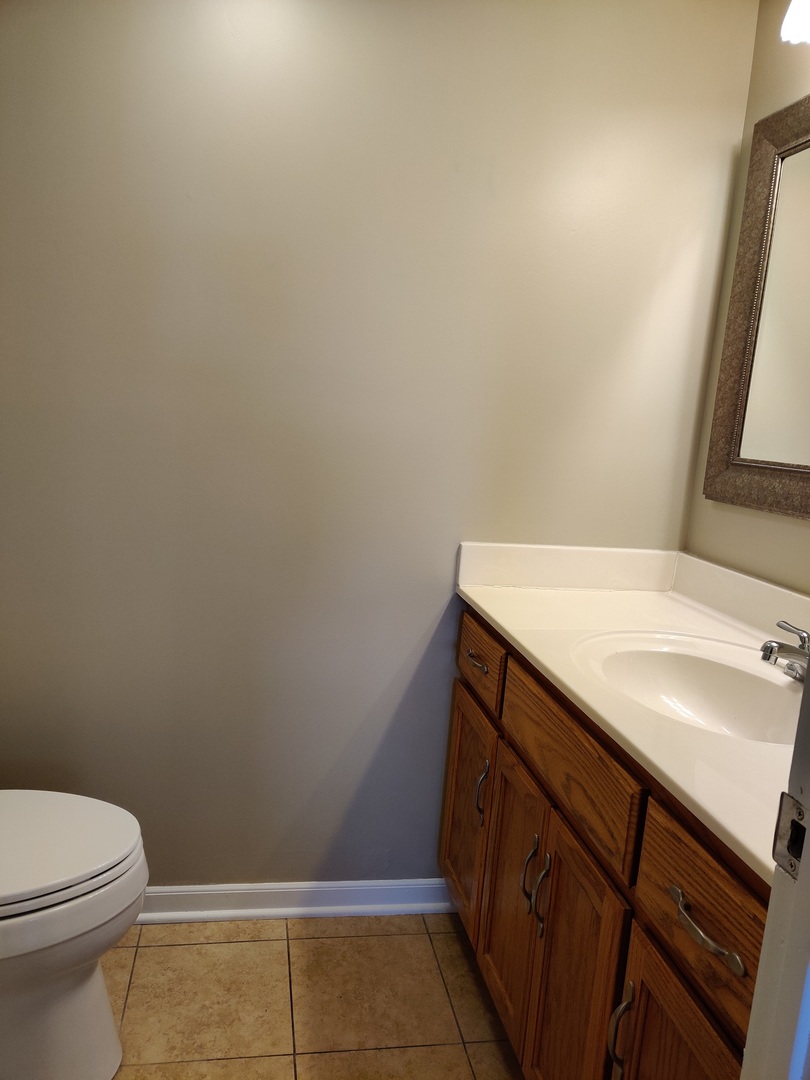 4324 Cumnor Road Downers Grove, IL 60515 - Photo 12 of 12 a bathroom with a sink and a vanity