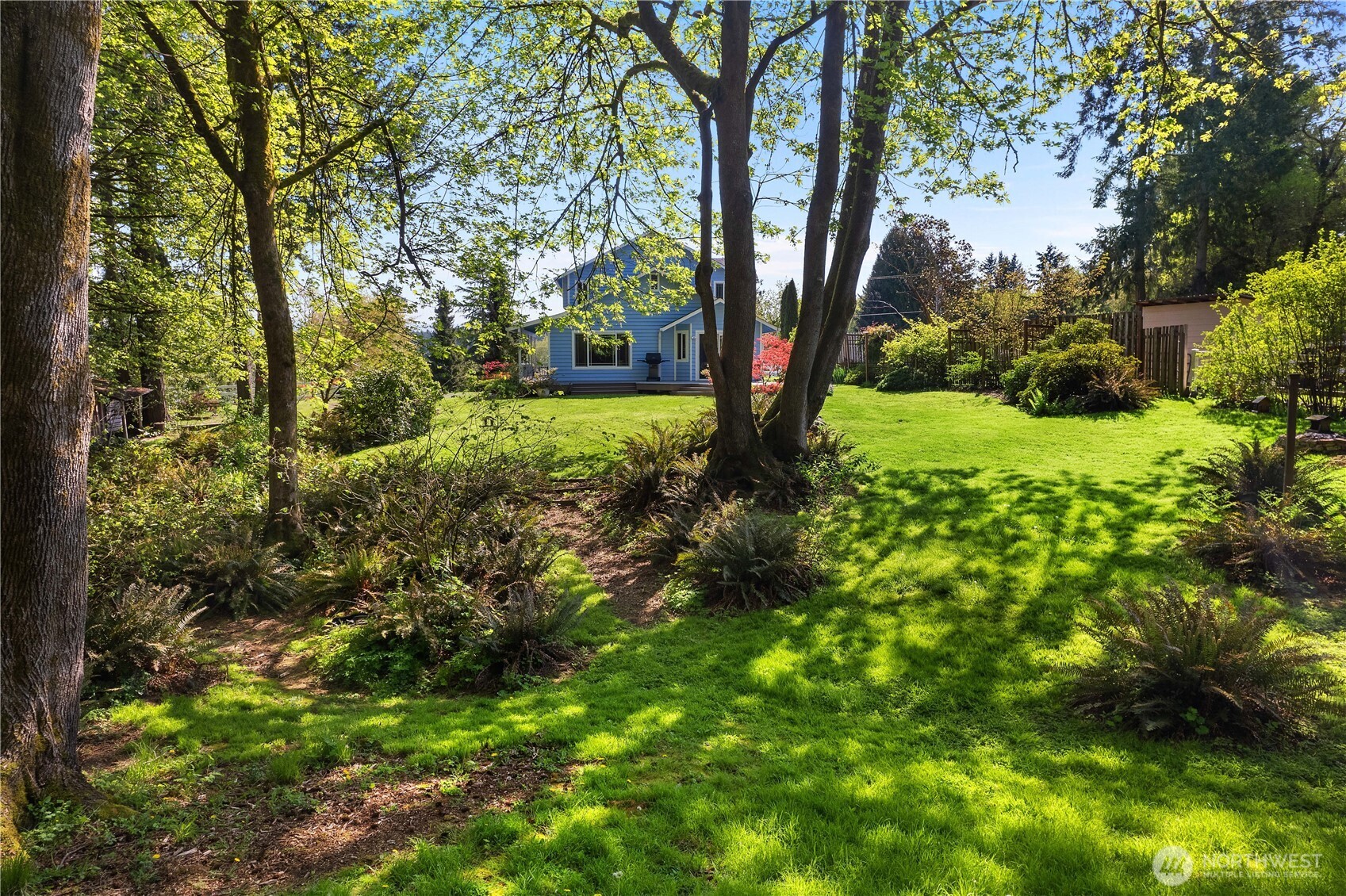 5629 Sleater Kinney Road Northeast Olympia, WA 98506 - Photo 31 of 32 a view of backyard with green space