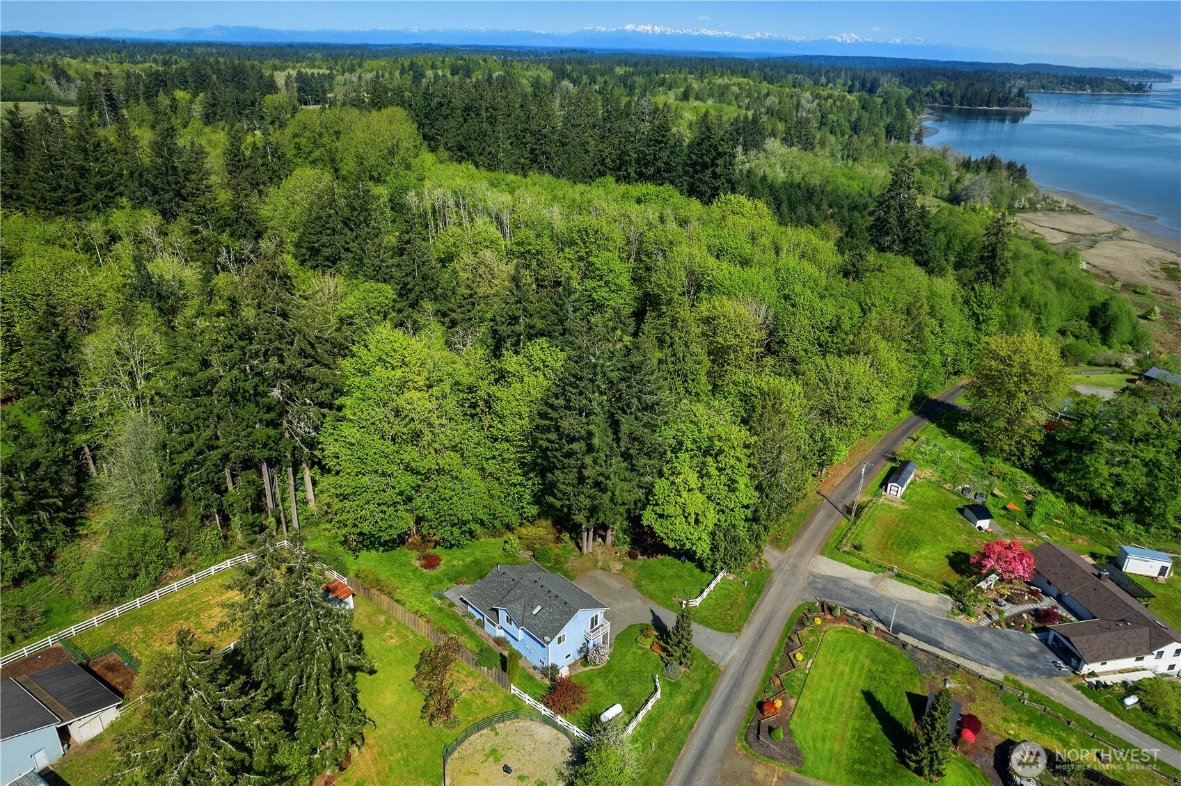 5629 Sleater Kinney Road Northeast Olympia, WA 98506 - Photo 5 of 32 a view of a yard with plants