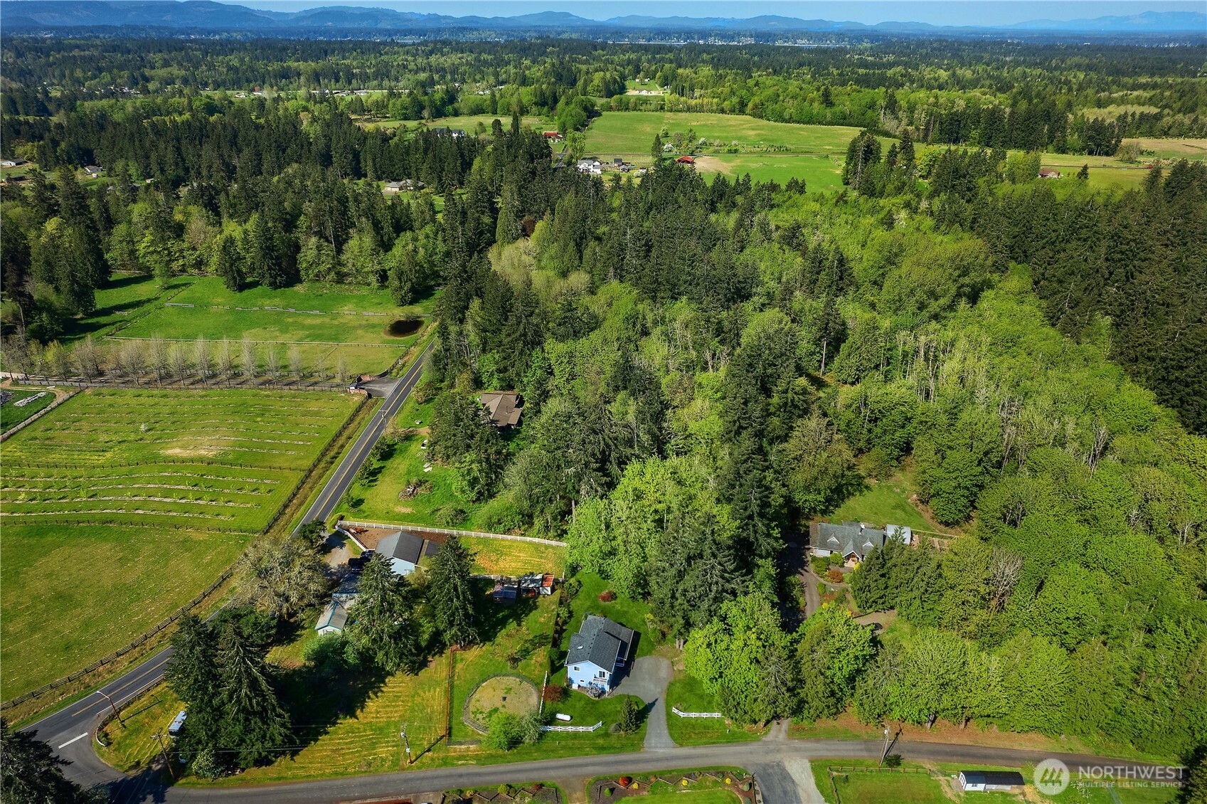 5629 Sleater Kinney Road Northeast Olympia, WA 98506 - Photo 7 of 32 a view of a lush green forest with a houses