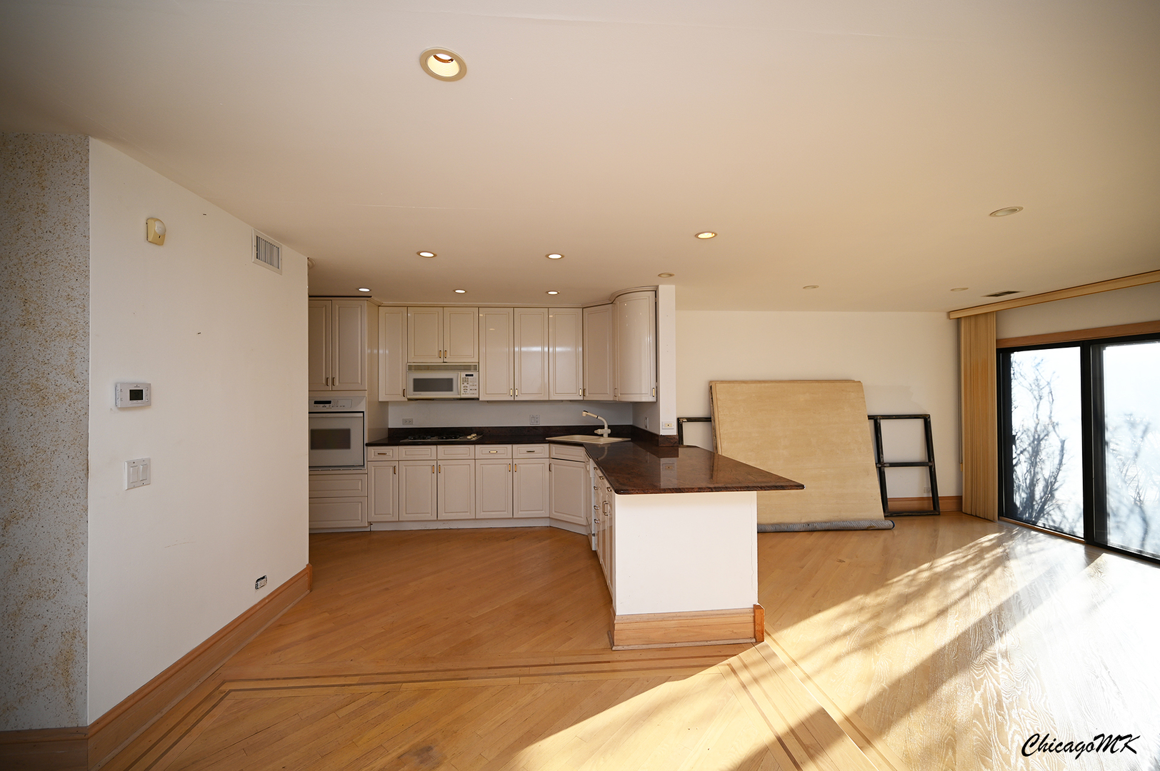 430 South Dee Road Park Ridge, IL 60068 - Photo 8 of 46 Gallery Image 8