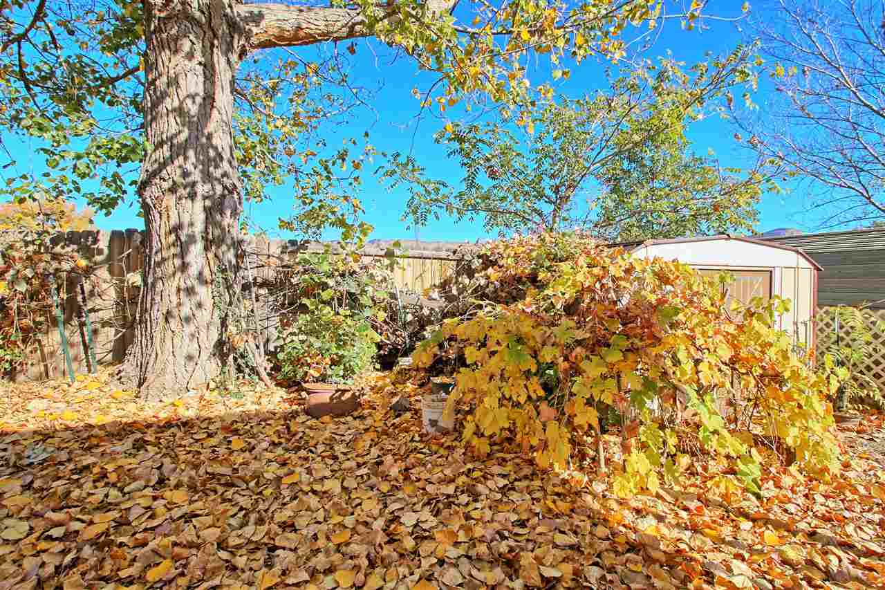 3134 F F 1/2 Road Grand Junction, CO 81504 - Photo 41 of 42 Gallery Image 41