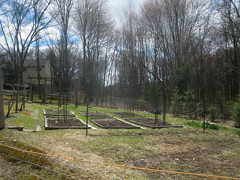 245 Steiner Bridge Road Valencia, PA 16059 - Photo 11 of 25 Yard/Garden.