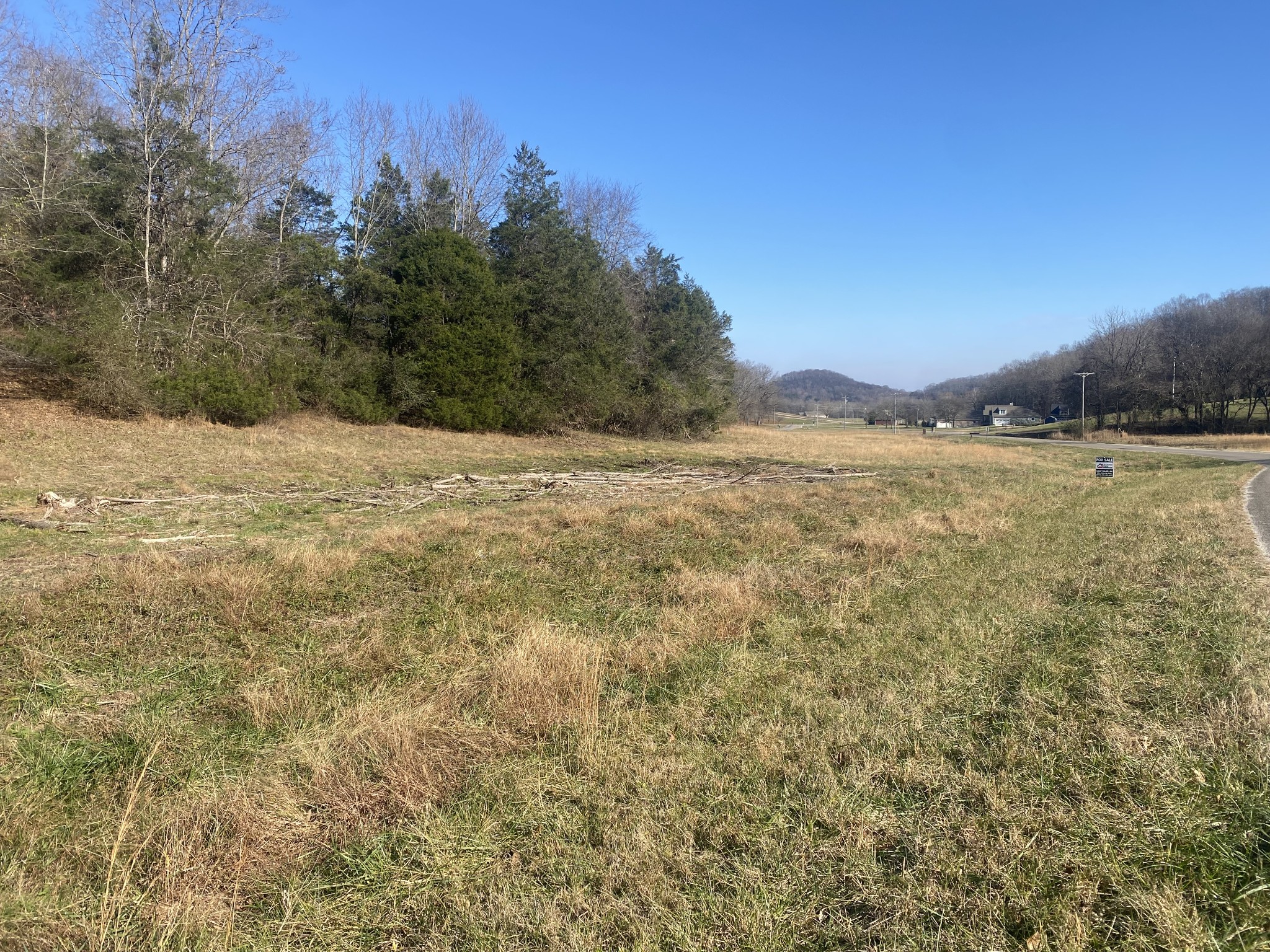 0 Scenic Drive Pulaski, TN 38478 - Photo 11 of 23