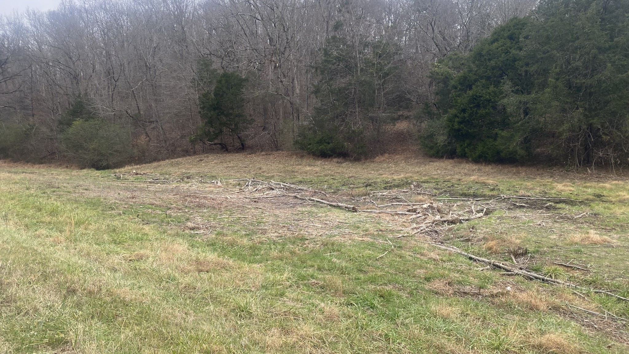 0 Scenic Drive Pulaski, TN 38478 - Photo 12 of 23