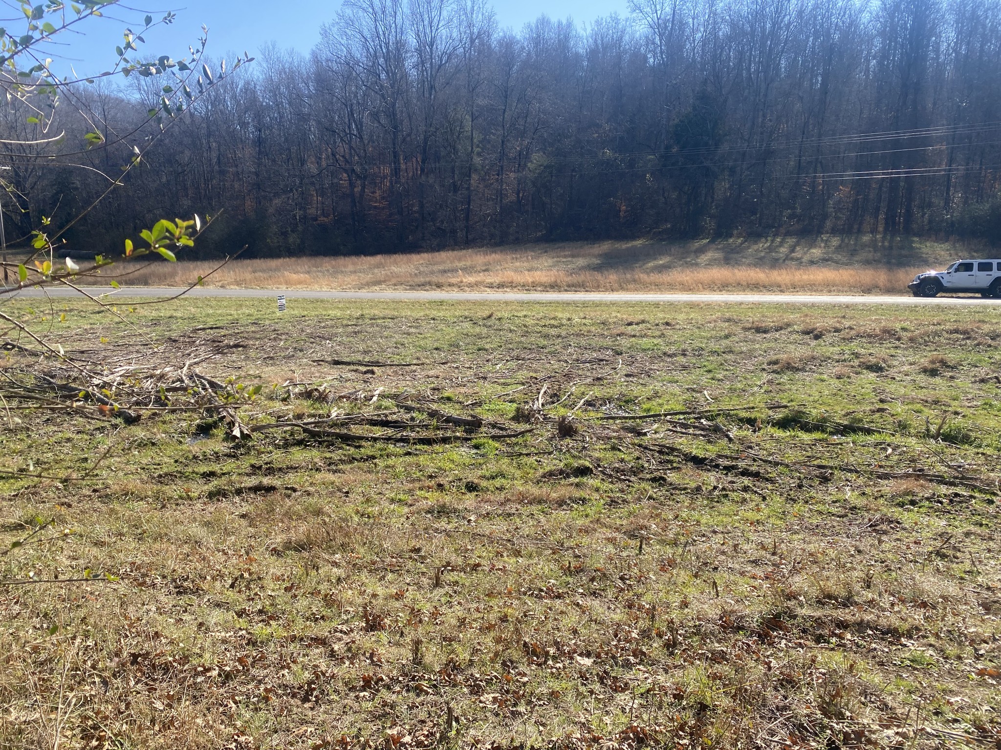 0 Scenic Drive Pulaski, TN 38478 - Photo 13 of 23