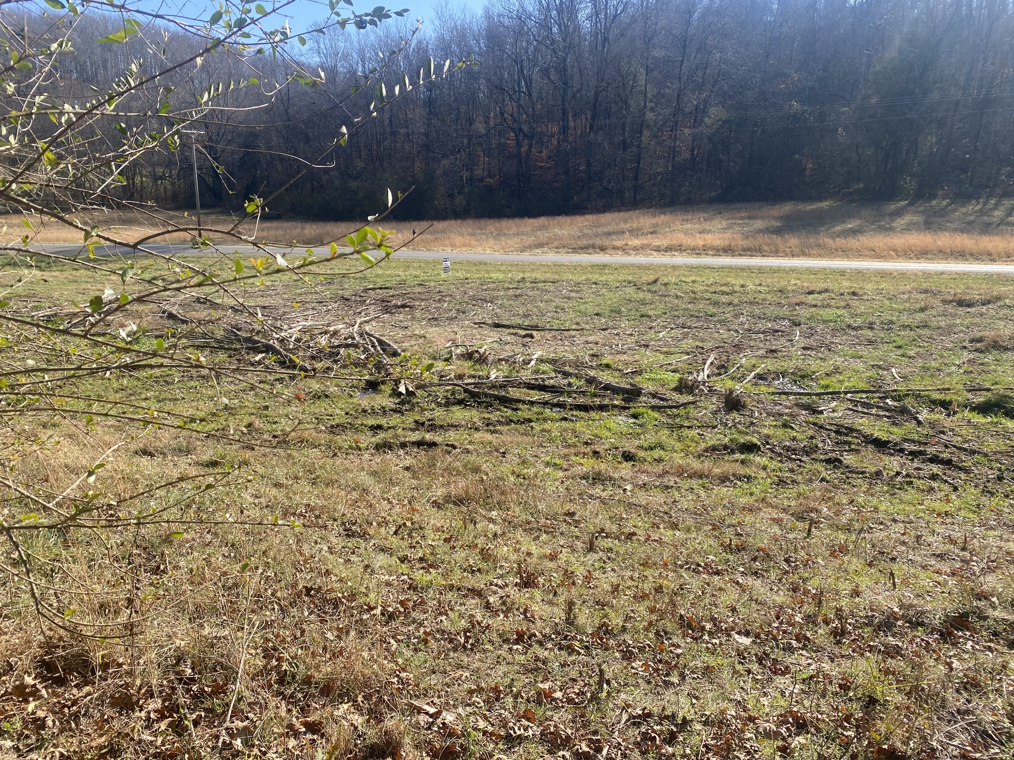 0 Scenic Drive Pulaski, TN 38478 - Photo 14 of 23