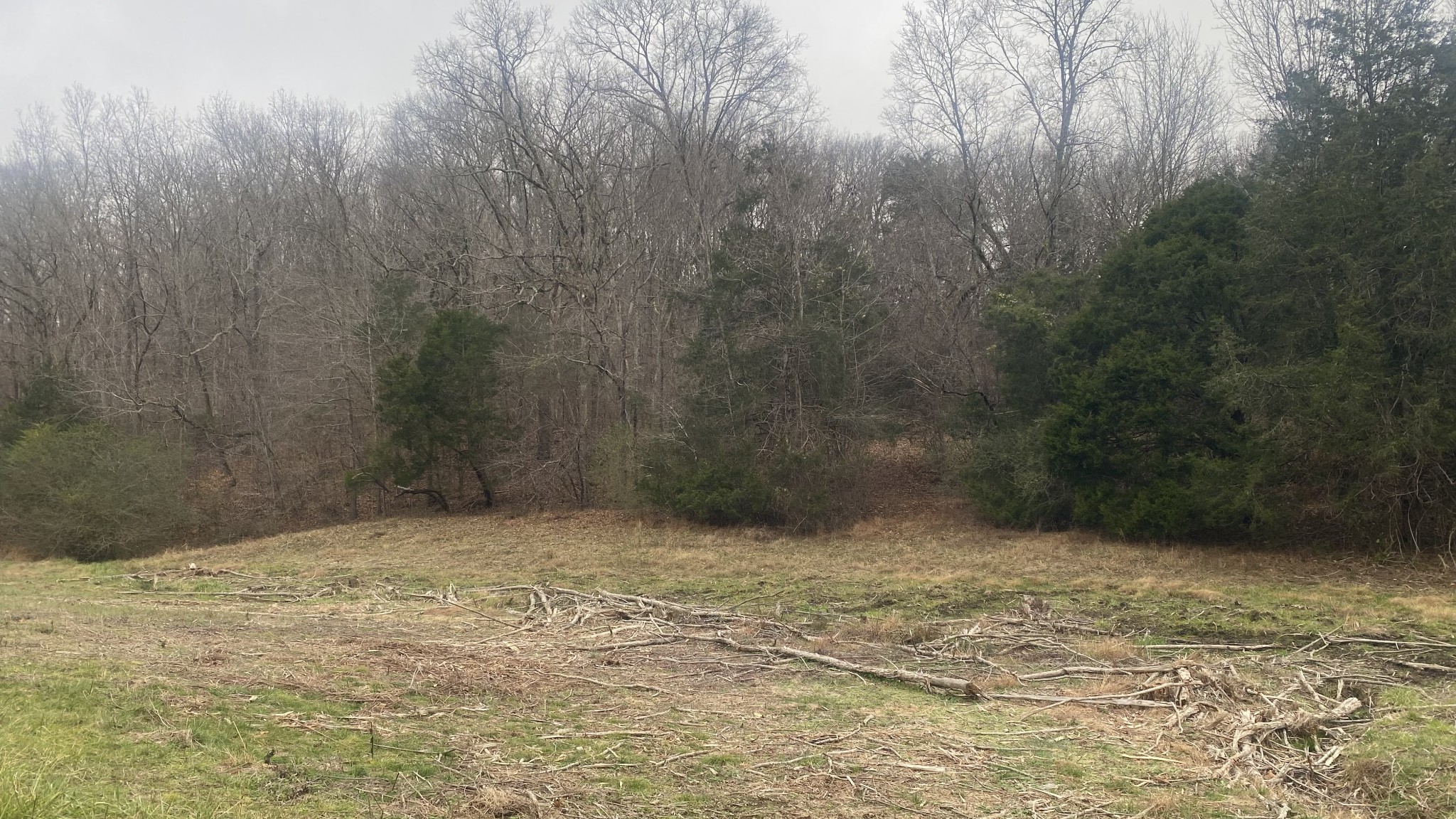 0 Scenic Drive Pulaski, TN 38478 - Photo 15 of 23