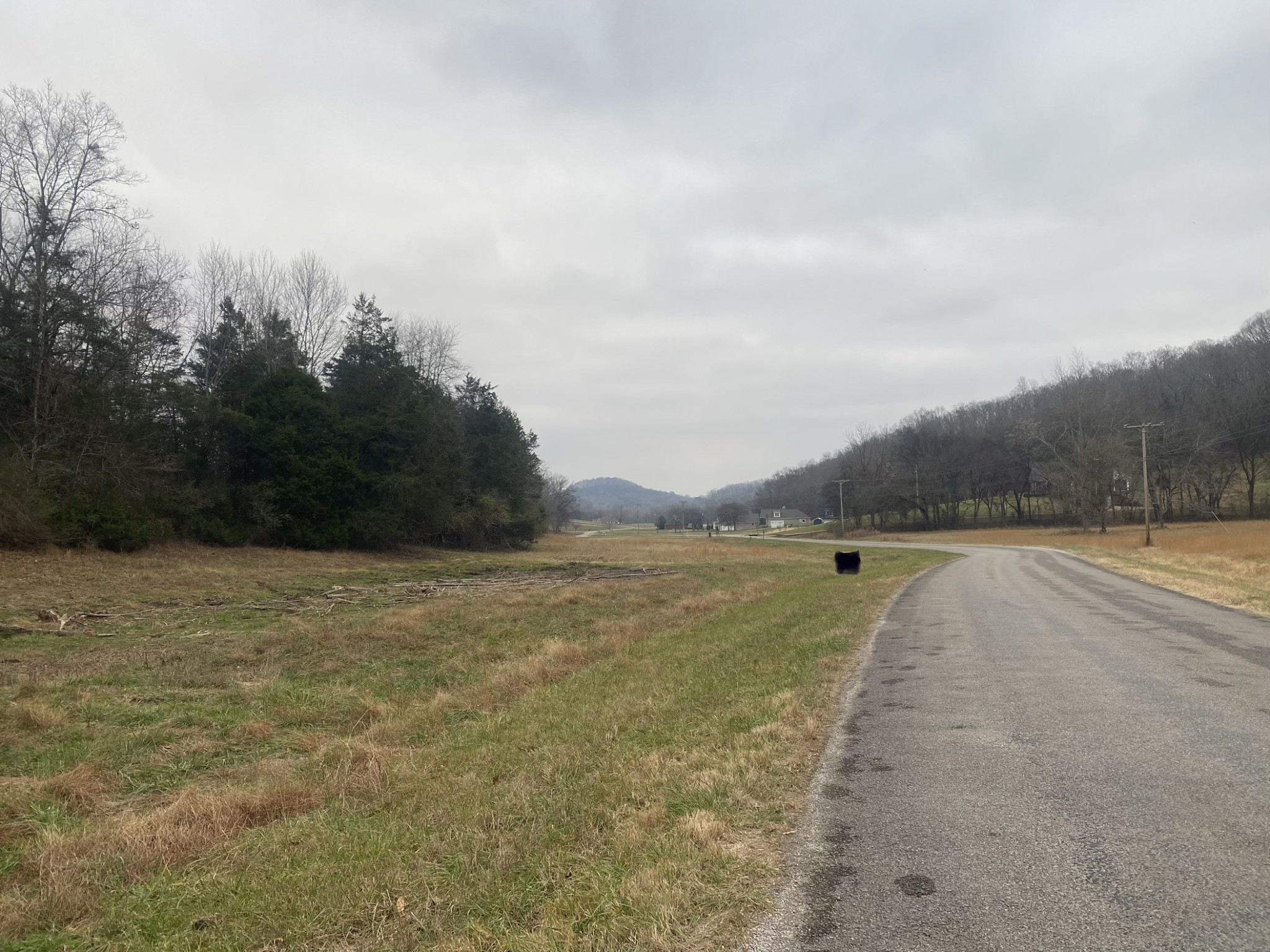 0 Scenic Drive Pulaski, TN 38478 - Photo 19 of 23