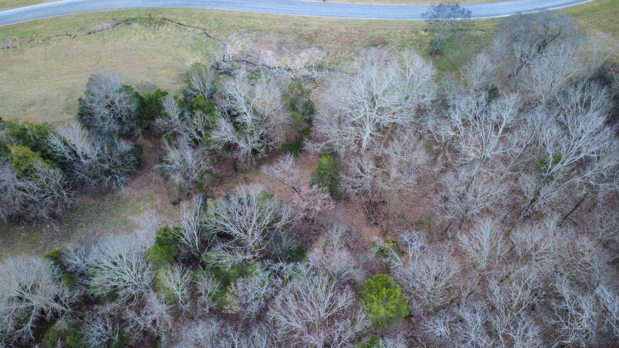 0 Scenic Drive Pulaski, TN 38478 - Photo 20 of 23