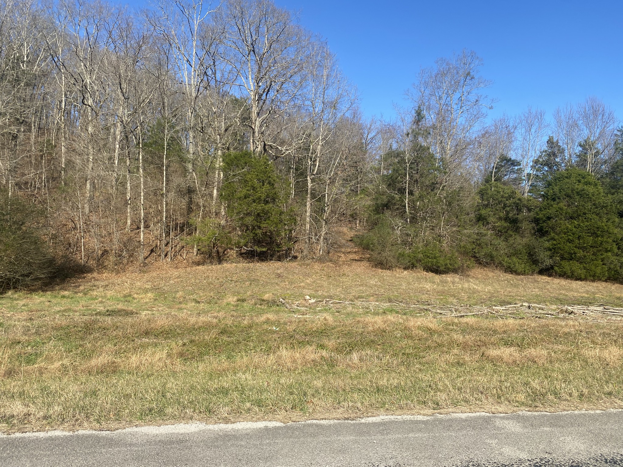 0 Scenic Drive Pulaski, TN 38478 - Photo 2 of 23