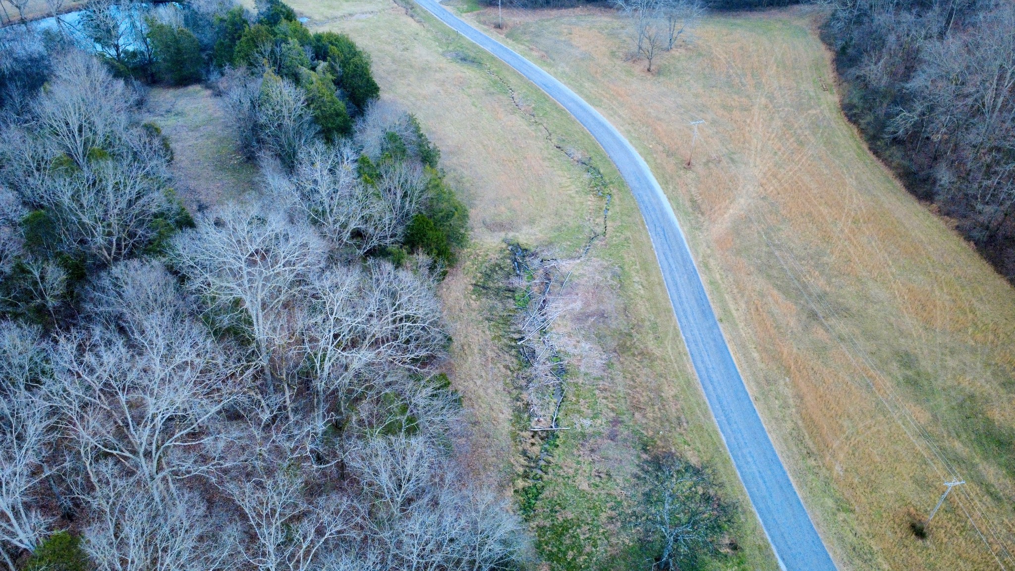 0 Scenic Drive Pulaski, TN 38478 - Photo 21 of 23