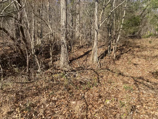 $125,000 | 0 Scenic Drive, Pulaski, TN 38478