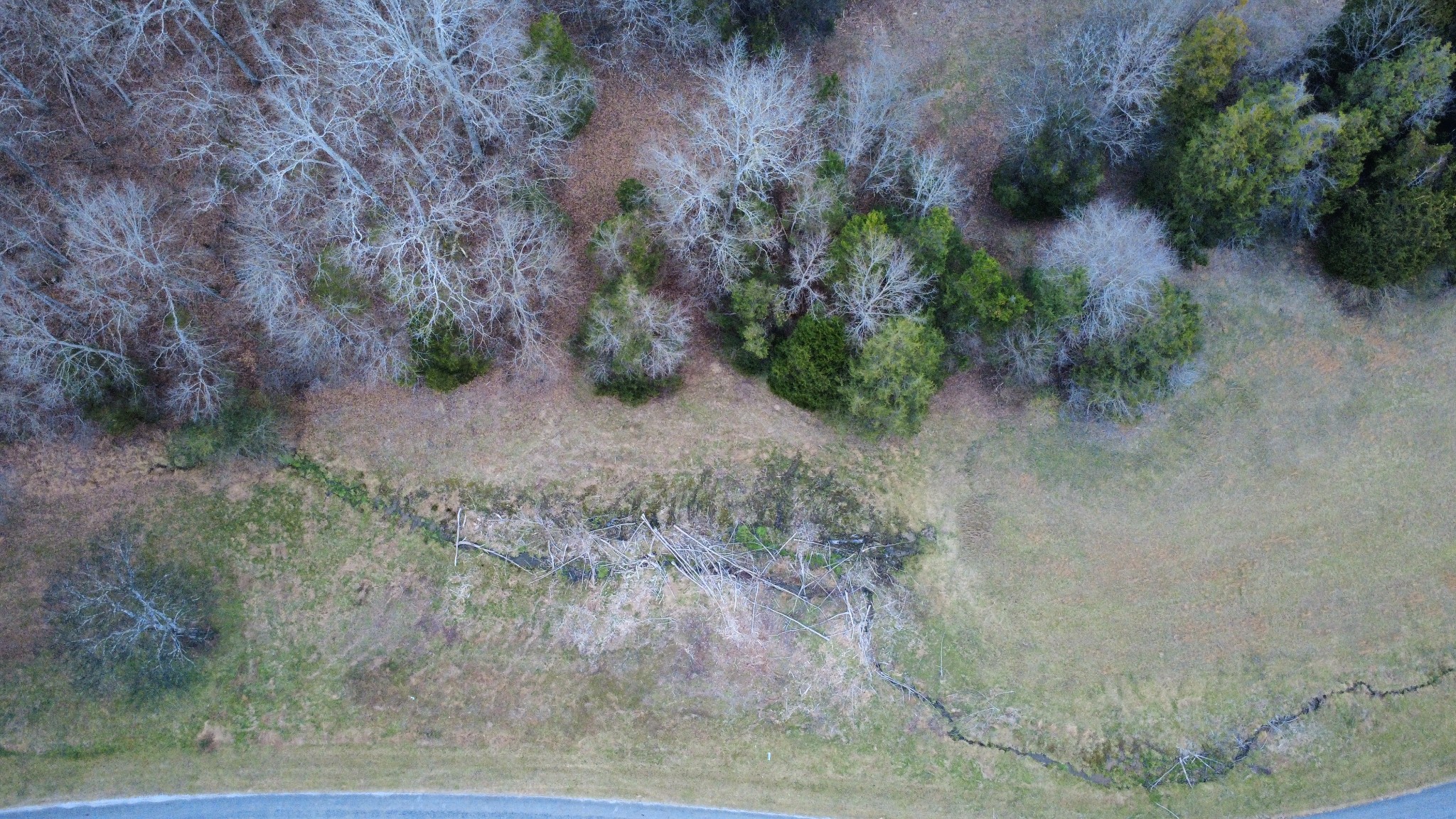 0 Scenic Drive Pulaski, TN 38478 - Photo 22 of 23