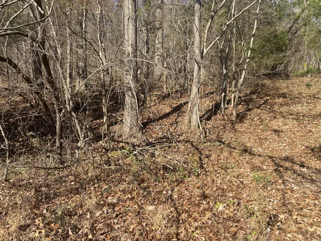 $125,000 | 0 Scenic Drive, Pulaski, TN 38478