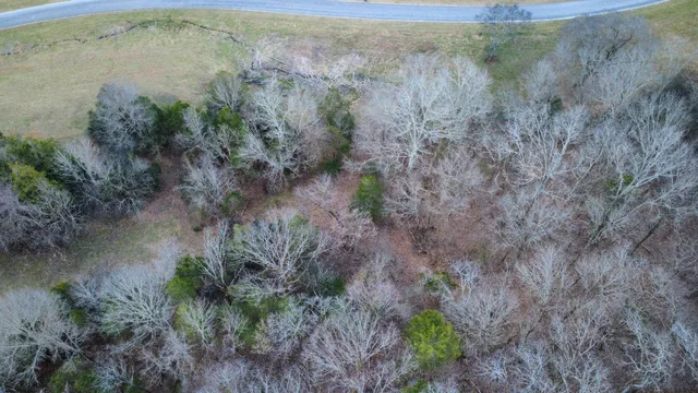 $125,000 | 0 Scenic Drive, Pulaski, TN 38478