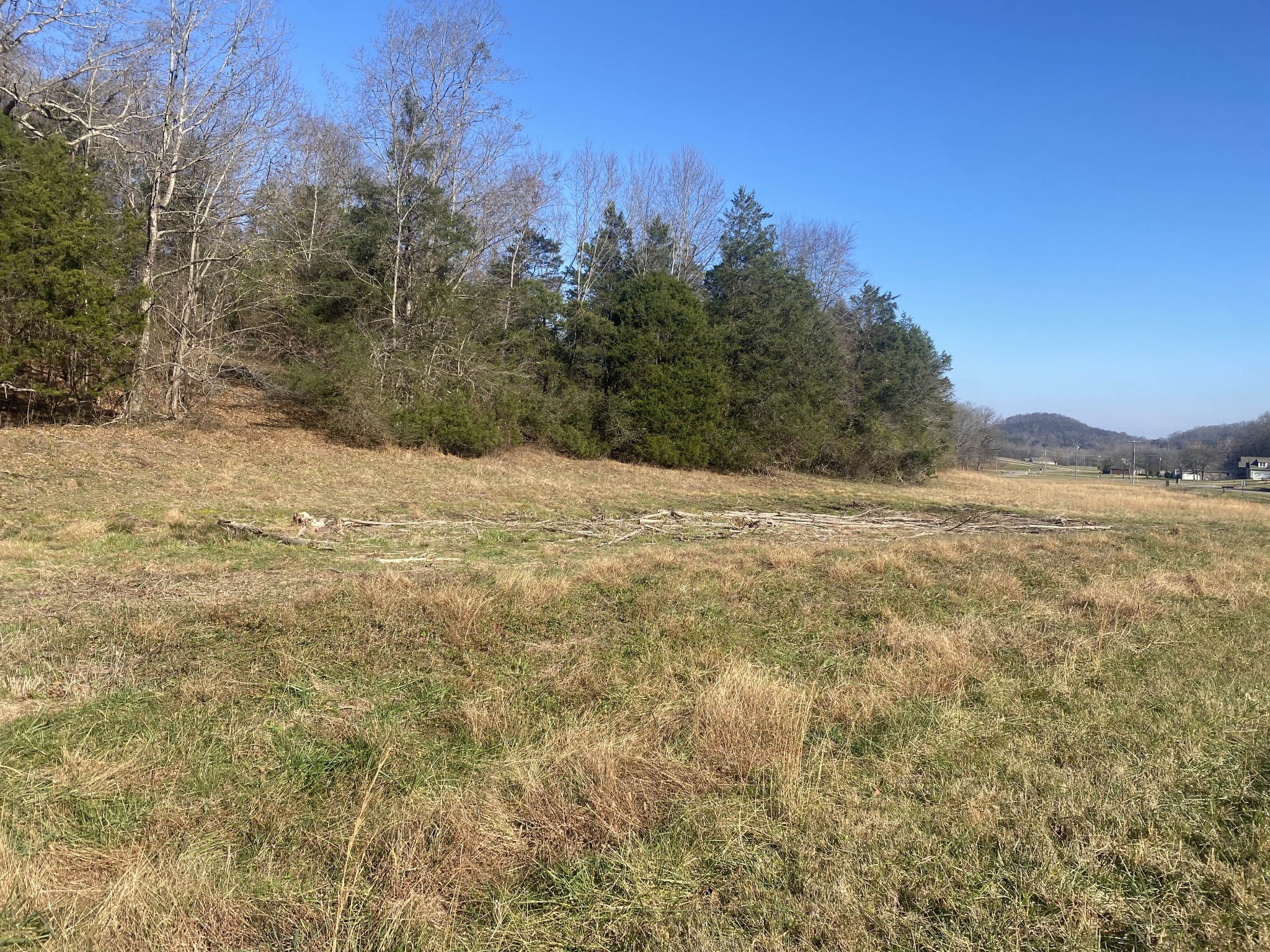 0 Scenic Drive Pulaski, TN 38478 - Photo 3 of 23