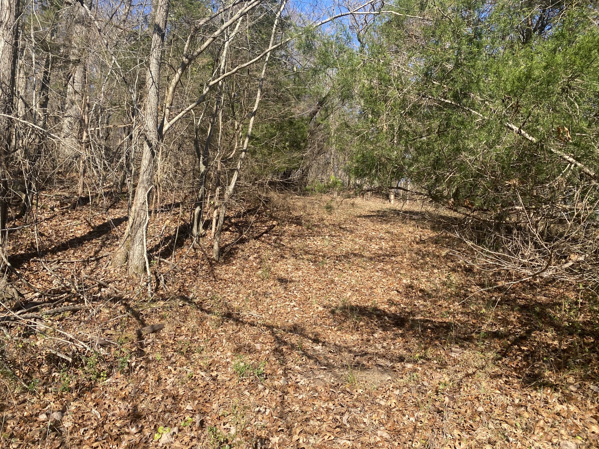 0 Scenic Drive Pulaski, TN 38478 - Photo 4 of 23