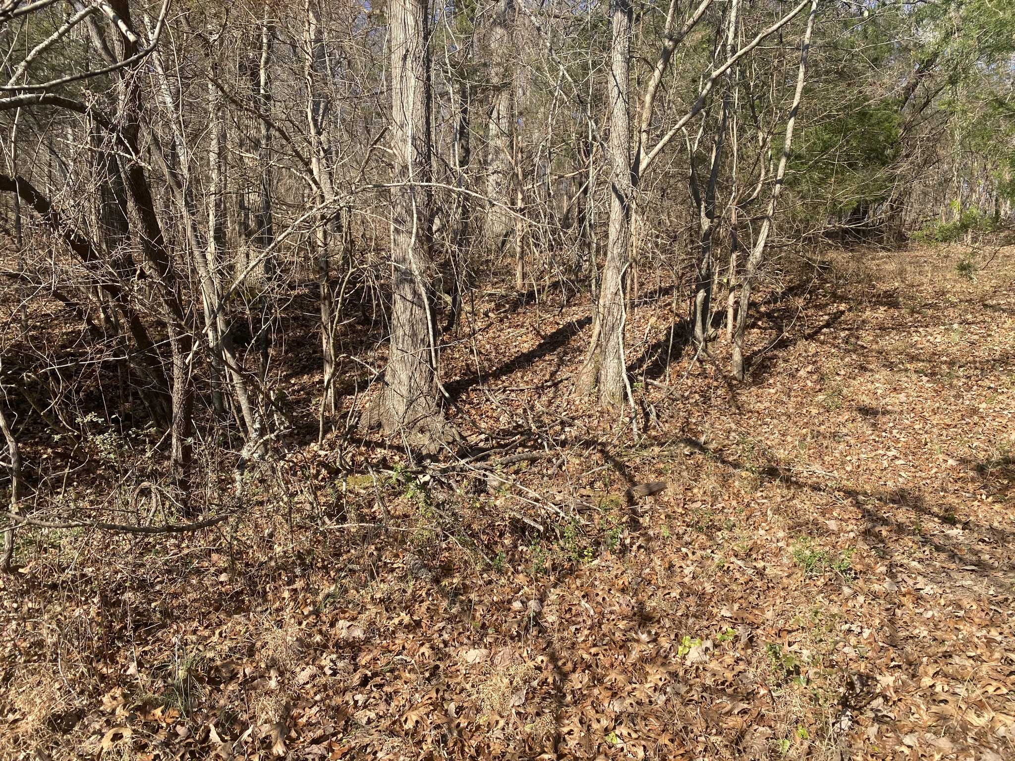 0 Scenic Drive Pulaski, TN 38478 - Photo 5 of 23