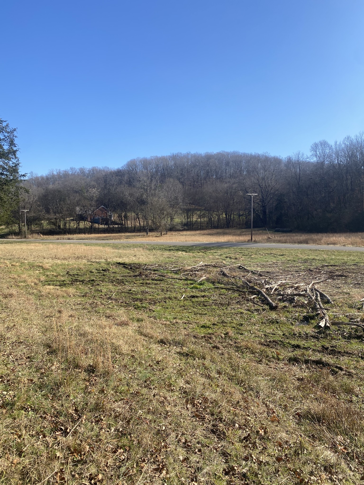 0 Scenic Drive Pulaski, TN 38478 - Photo 7 of 23