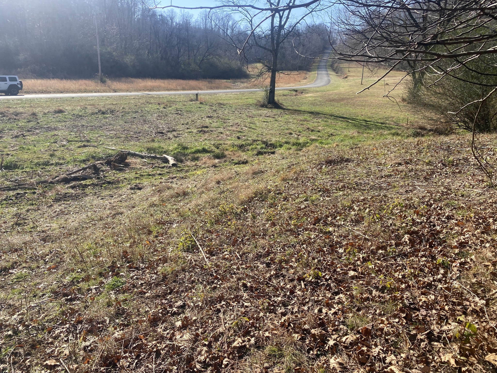 0 Scenic Drive Pulaski, TN 38478 - Photo 8 of 23