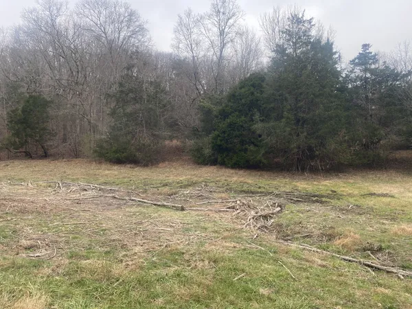 a view of a backyard of a house