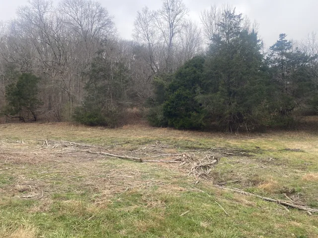 a view of swimming pool with a yard