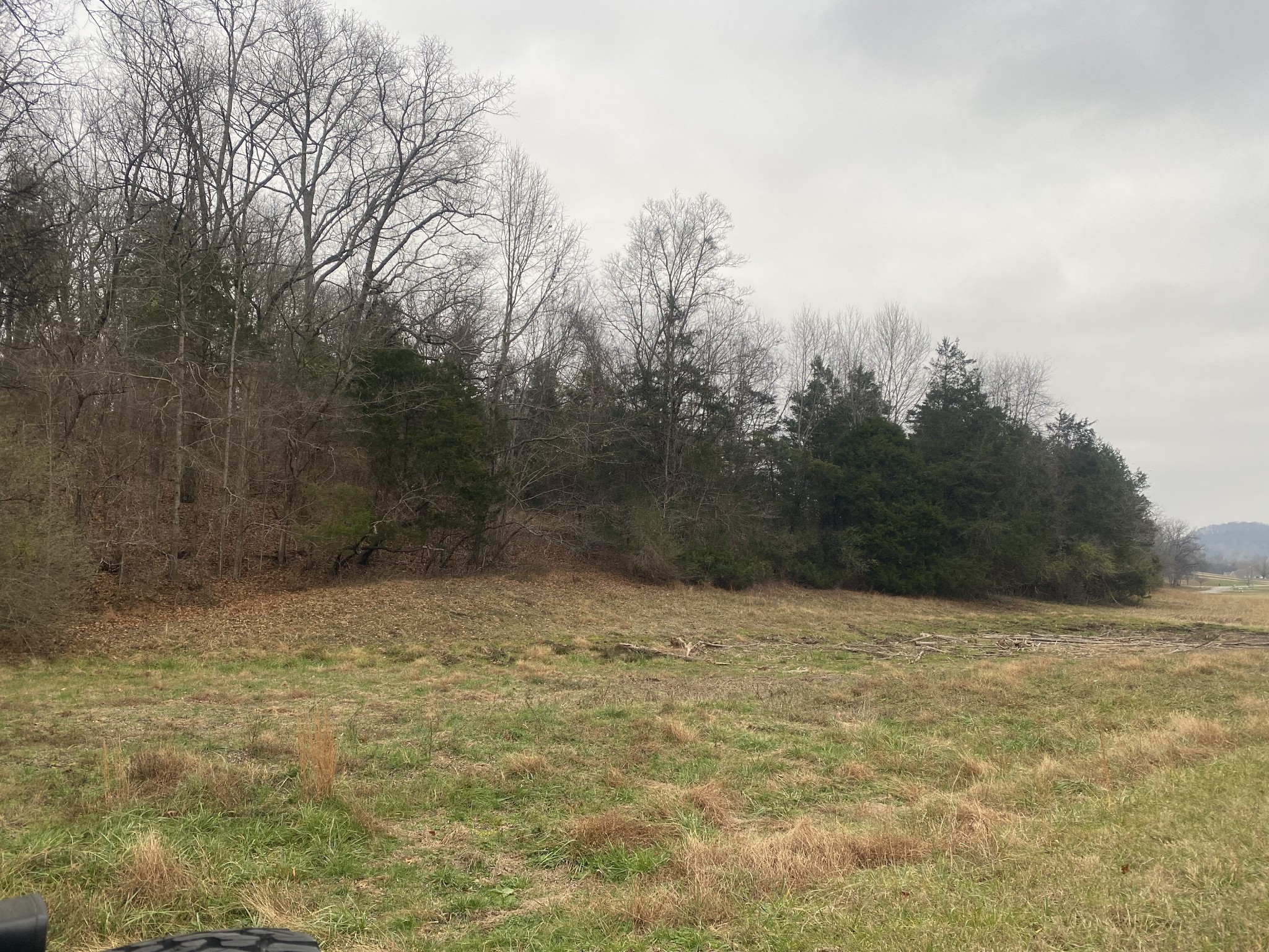 0 Scenic Drive Pulaski, TN 38478 - Photo 10 of 23