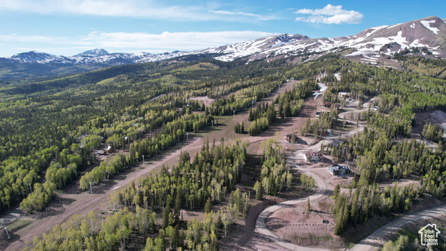 1 Elk, Unit 1 Beaver, UT 84713 - Photo 6 of 8 Bird's eye view featuring a forest view and a mountain view