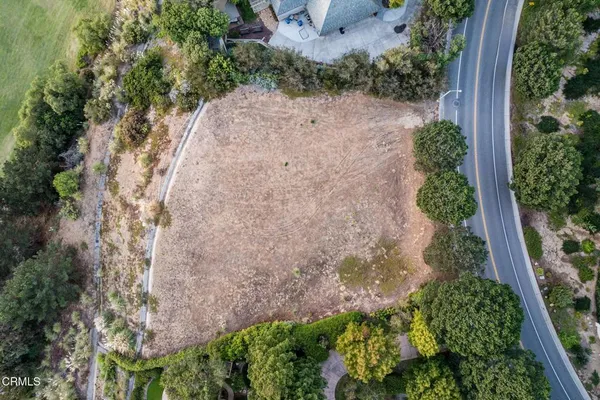 a view of a field with plants and trees in the background
