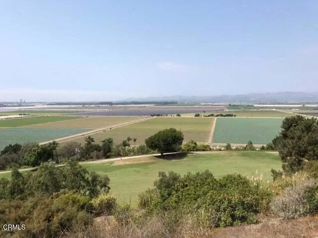 a view of a field with an ocean