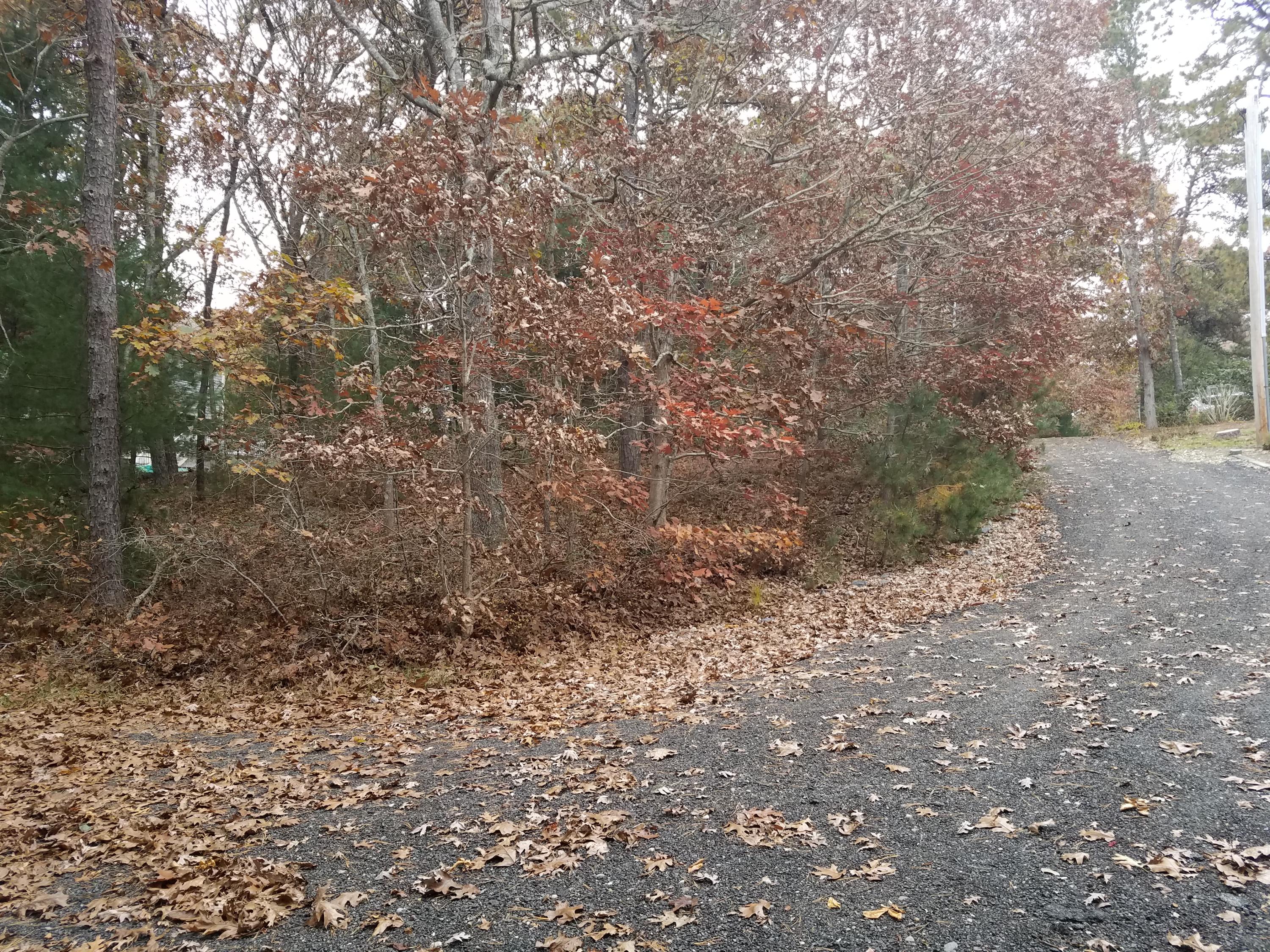 0 Pine Road Cotuit, MA 02635 - Photo 2 of 2 20181105_122836