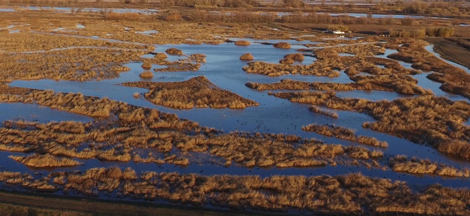 0 4 Mile Road Colusa, CA 95970 - Photo 8 of 22 view of city
