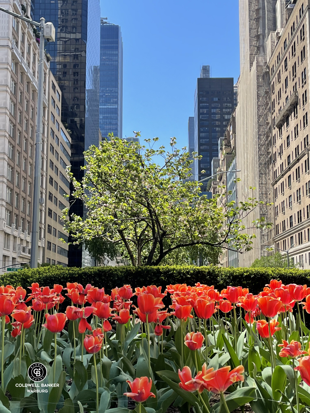 115 East 61st Street, Unit PH Manhattan, NY 10065 - Photo 11 of 12 a bunch of flowers in front of building