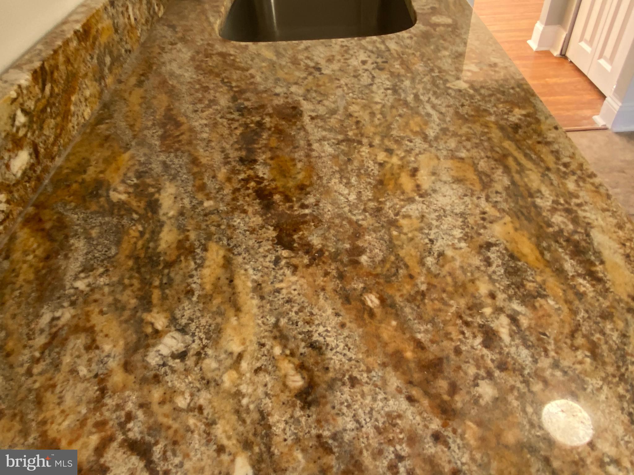 414 Homestead Road Wilmington, DE 19805 - Photo 10 of 20 Granite Top