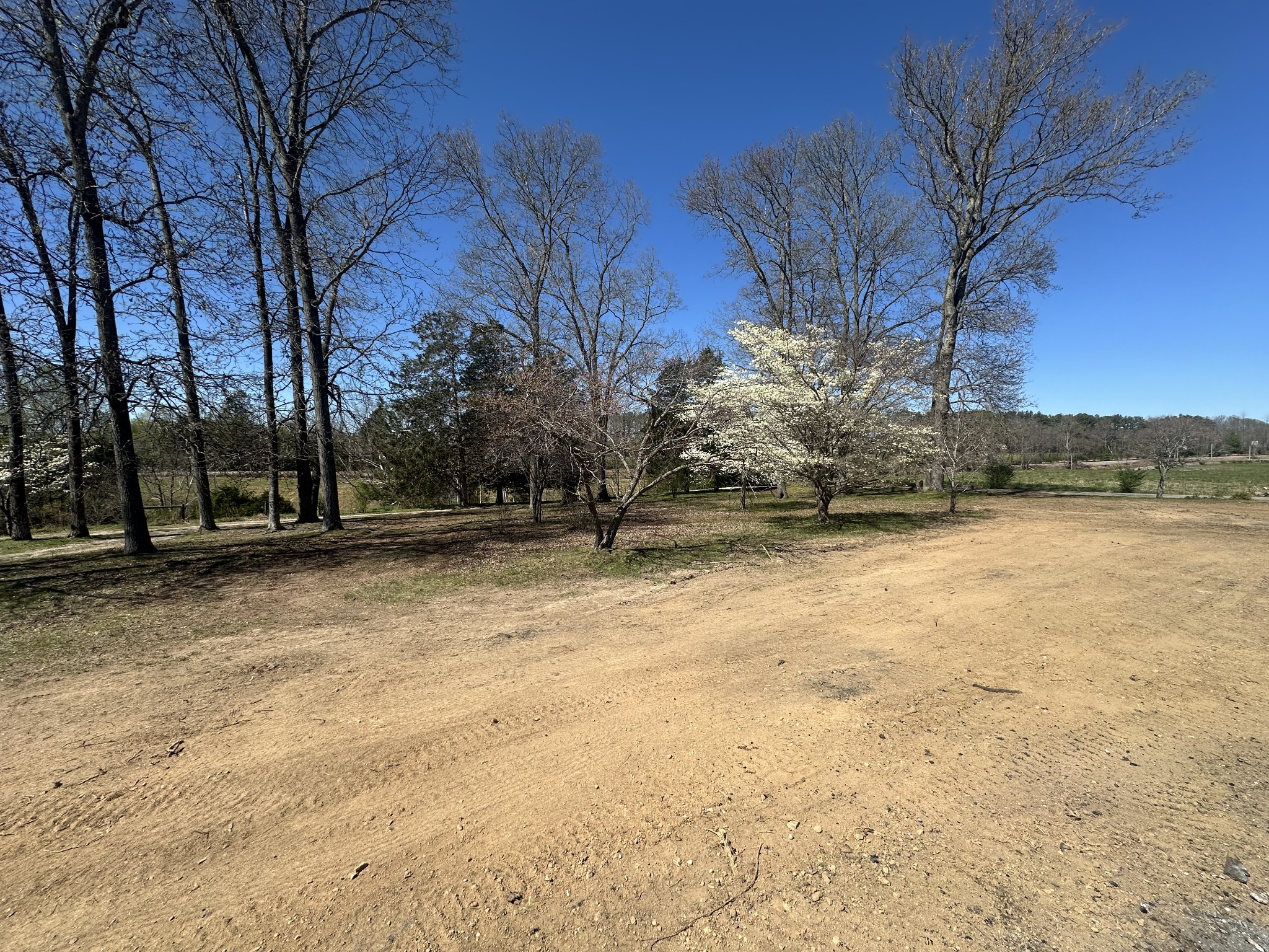 5149 Arnold Thomas Road Silver Point, TN 38582 - Photo 11 of 21