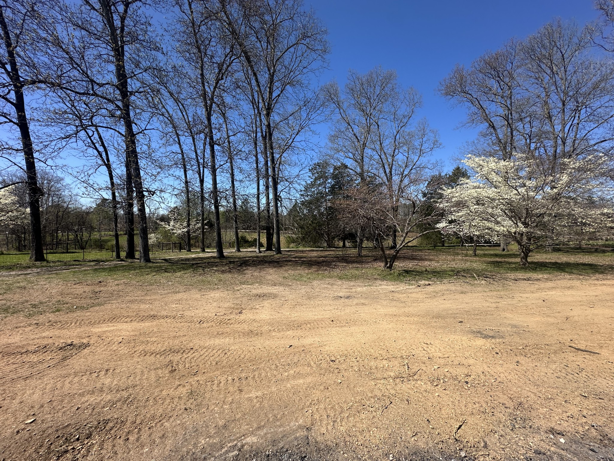 5149 Arnold Thomas Road Silver Point, TN 38582 - Photo 12 of 21