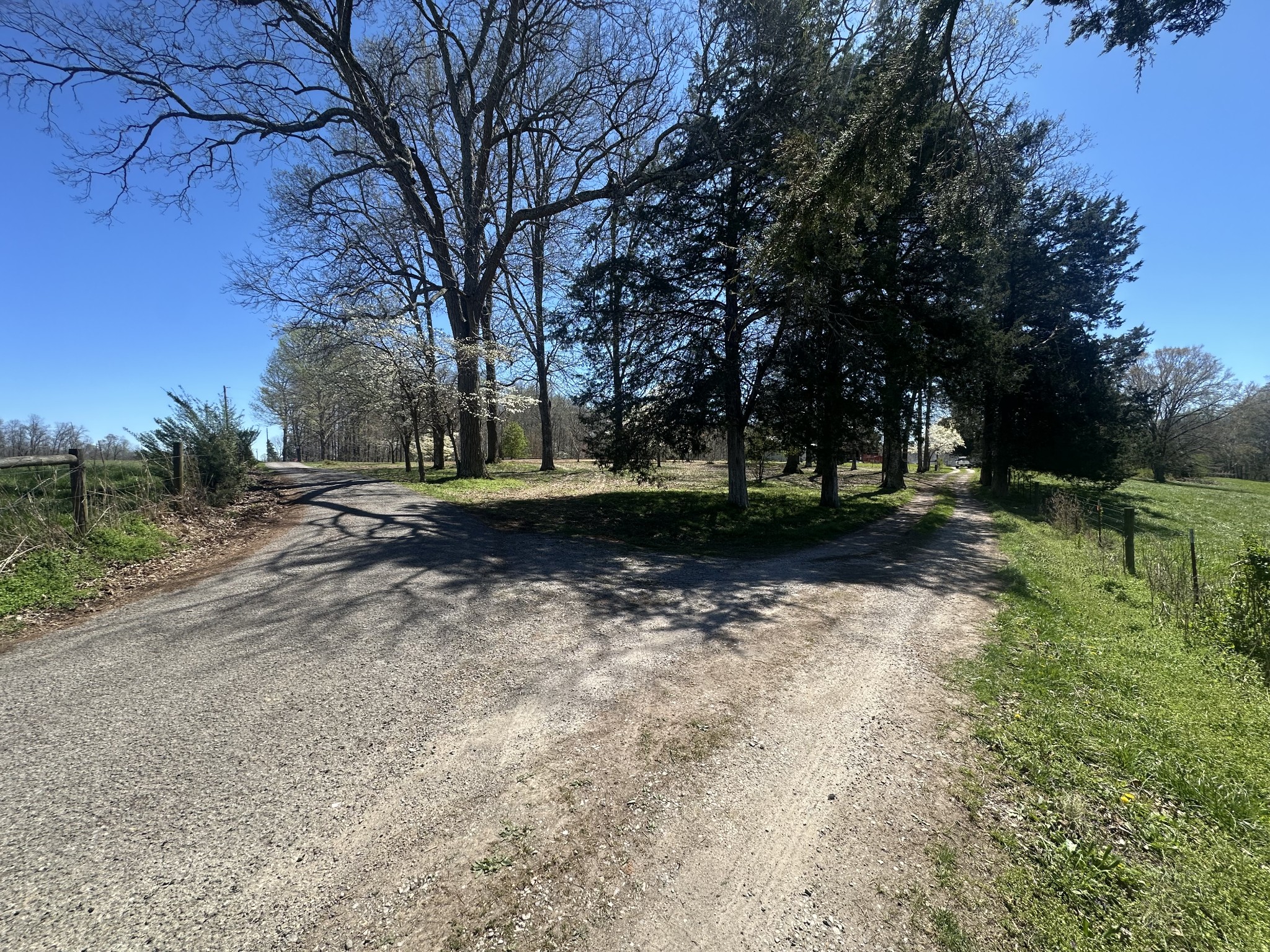 5149 Arnold Thomas Road Silver Point, TN 38582 - Photo 3 of 21