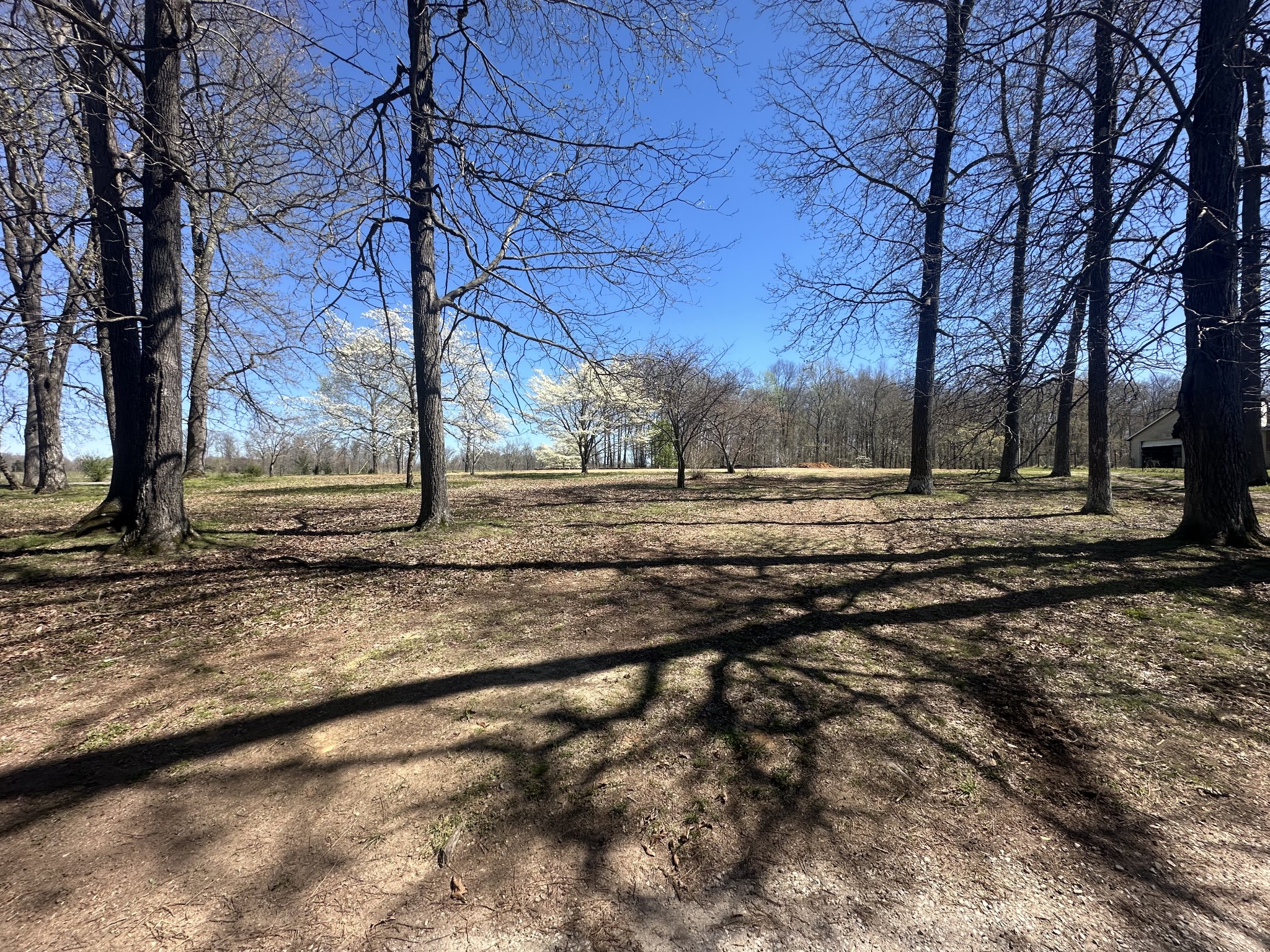 5149 Arnold Thomas Road Silver Point, TN 38582 - Photo 5 of 21