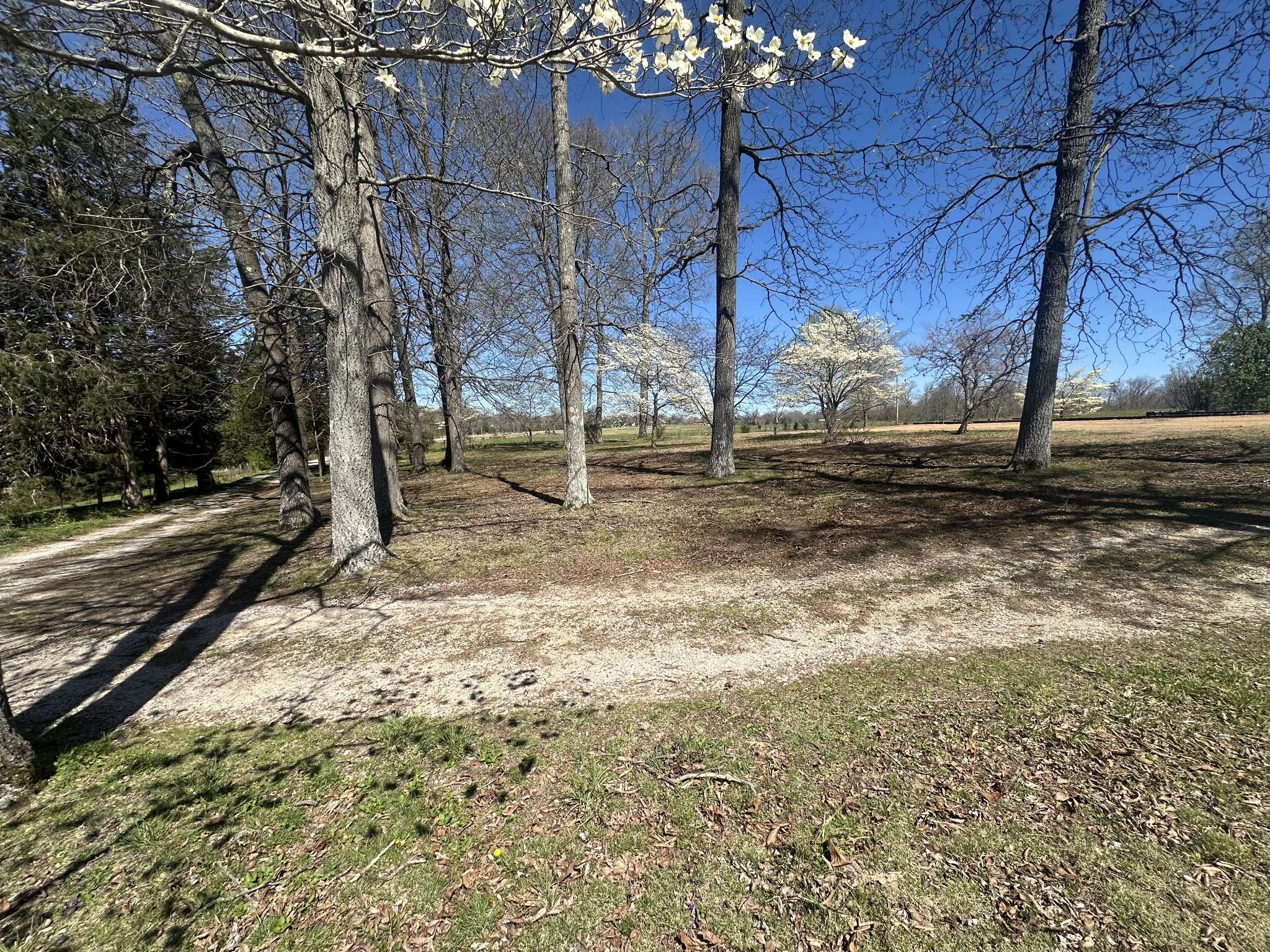 5149 Arnold Thomas Road Silver Point, TN 38582 - Photo 7 of 21